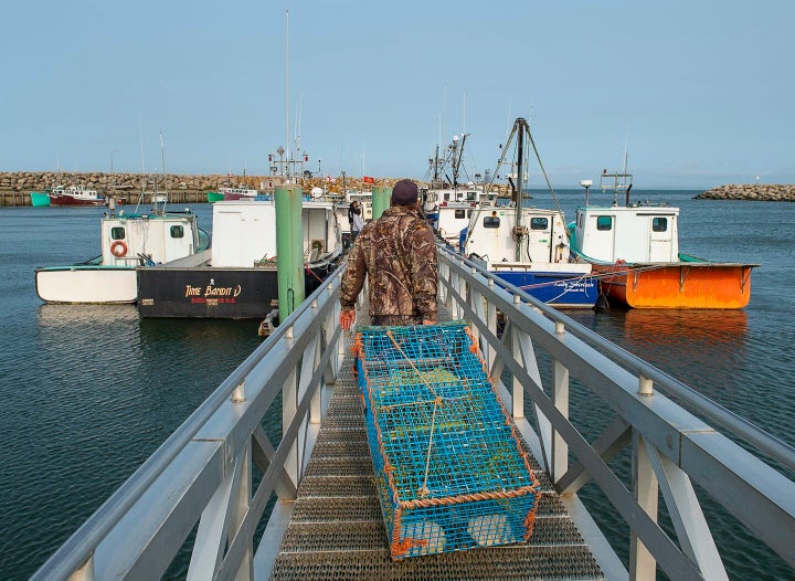 Members of the Sipekne'katik First Nation load lobster traps on the wharf in Saulnierville, N.S., in September 2020.