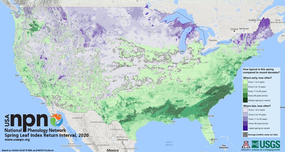 Spring is starting earlier in areas across the U.S. Darker green colors represent springs that are unusually early in the long-term record. 