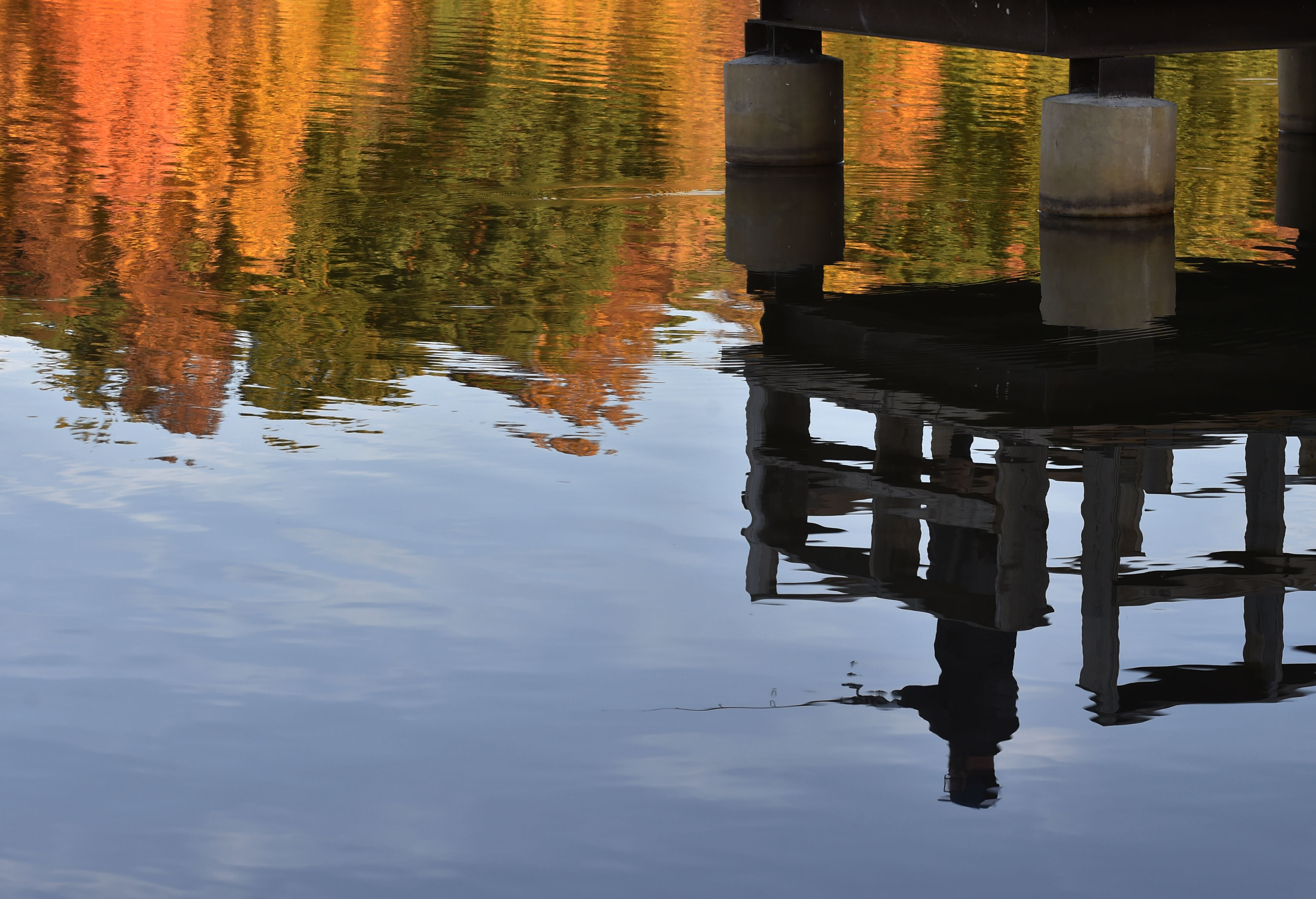 fire in the lake by frances fitzgerald