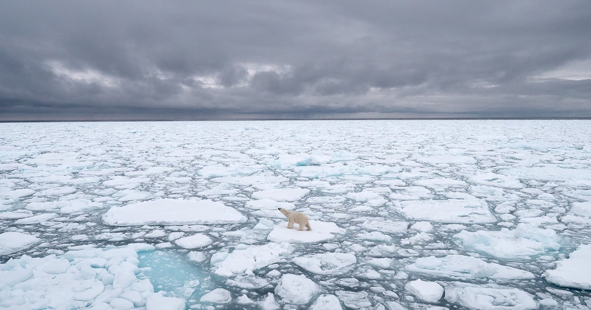 La Superficie De La Banquise Arctique N A Jamais Ete Aussi Faible En Octobre Le Huffpost La Superficie De La Banquise Arctique N A Jamais Ete Aussi Faible En Octobre Le Huffpost
