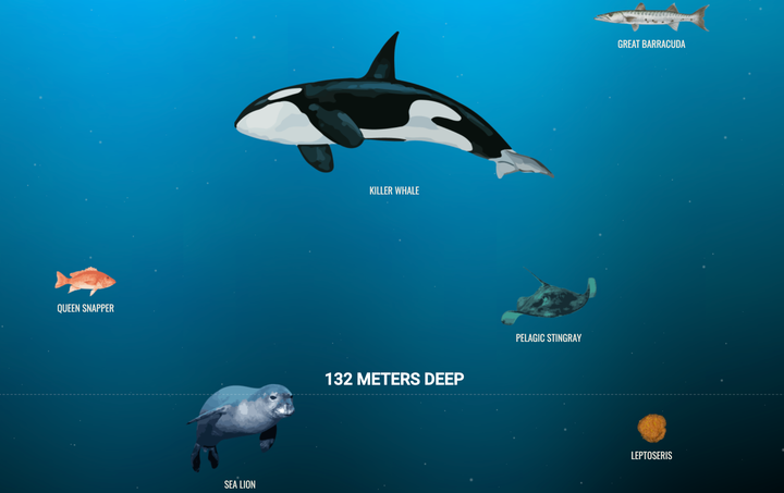 A still from the interactive site The Deep Sea.