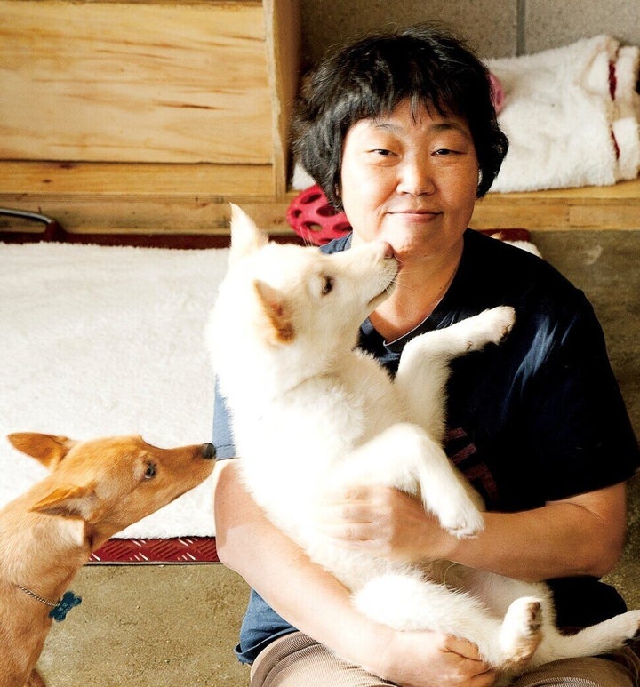 카라의 ‘아름품’ 입양카페에서 동물들과 함께 하고 있는 임순례 대표. 