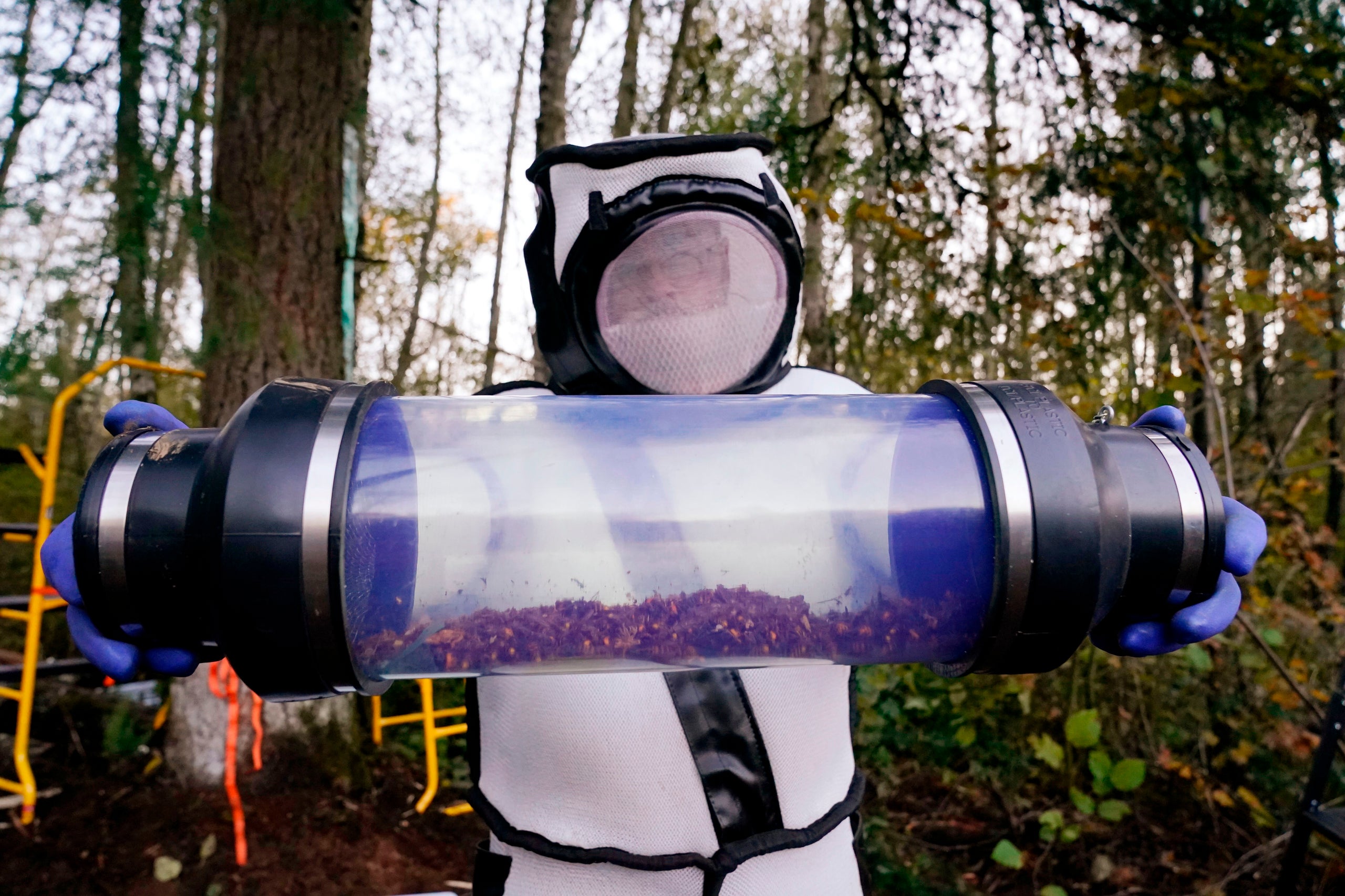 10 Amazing Photos You Missed This Week