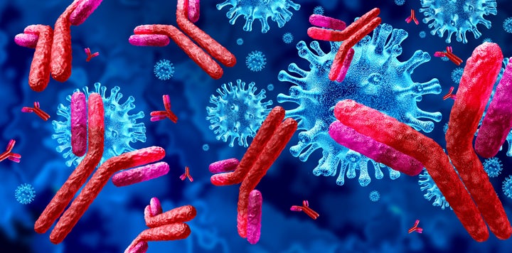Representación de anticuerpos atacando a coronavirus.