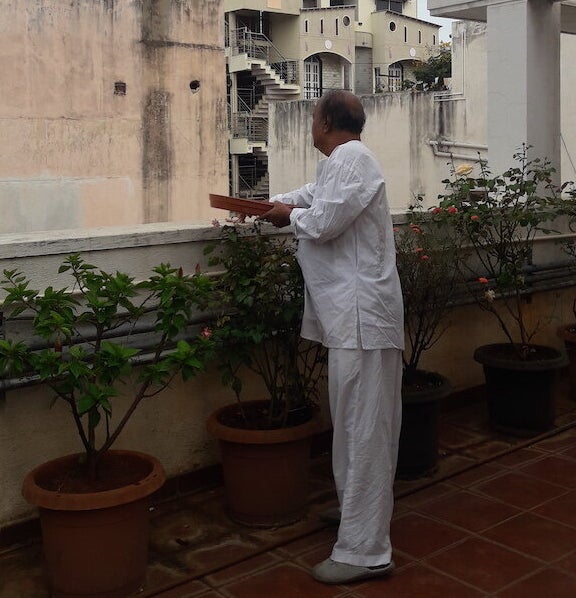 Two weeks into the lockdown, Appa began coming up to the terrace only to feed the birds.