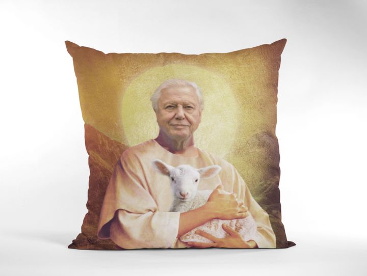 David Attenborough cushion