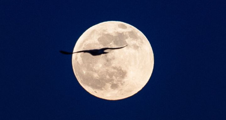 イスタンブールで見られた満月＝2020年1月10日