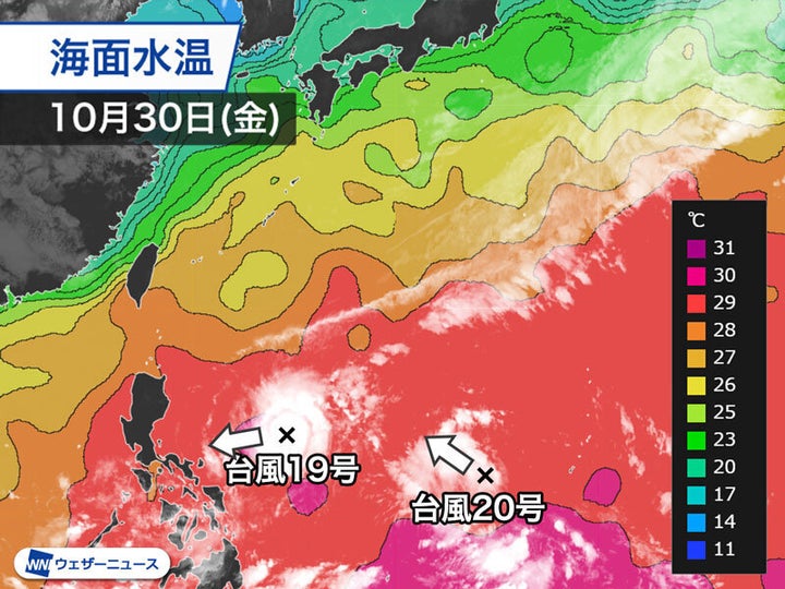 海面水温と衛星雲画像