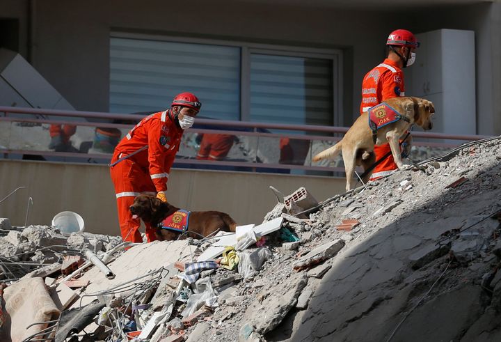 Members of rescue services with sniffer dogs search in the debris of a collapsed building for survivors in Izmir, Turkey, Sun