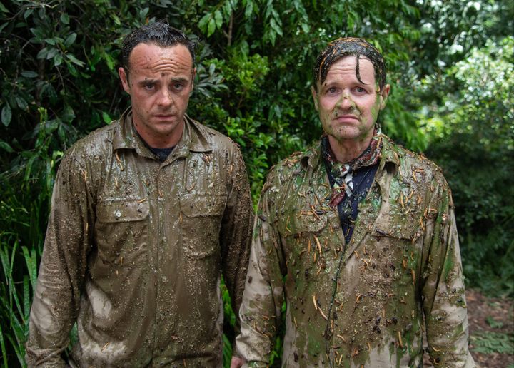 Ant and Dec have finally faced a Bushtucker Trial