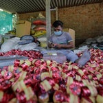 Only Green Crackers In Delhi, Ban In Rajasthan: States Make Rules For
