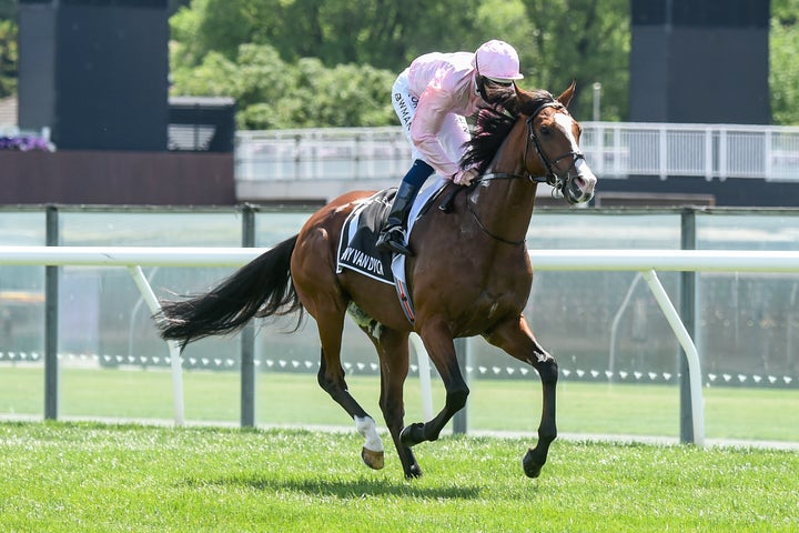 Anthony Van Dyck ridden by Hugh Bowman prior to the Lexus Melbourne Cup at Flemington Racecourse on November 03, 2020 in Flemington, Australia. 