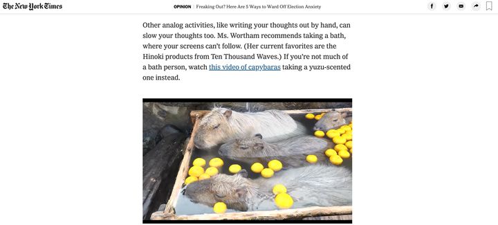 那須どうぶつ王国で撮影された柚子湯に入るカピバラを紹介しているニューヨークタイムズの記事