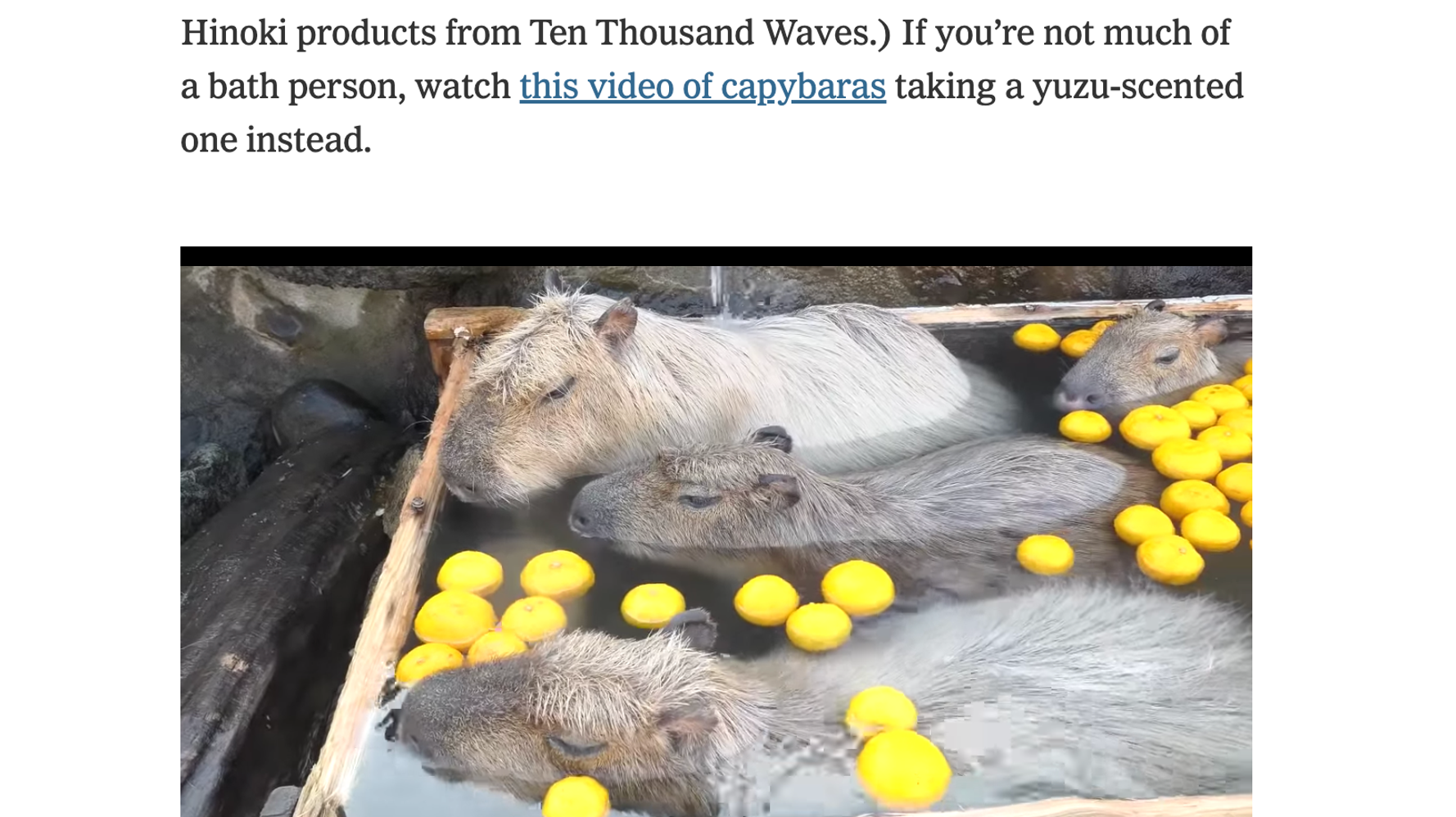 選挙で不安ならカピバラを見て ニューヨーク タイムズで柚子湯に入る日本のカピバラ動画が紹介される ハフポスト