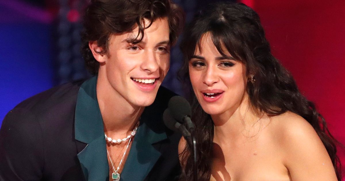 Shawn Mendes And Camila Cabello's New Puppy Is Here To Cheer Up America