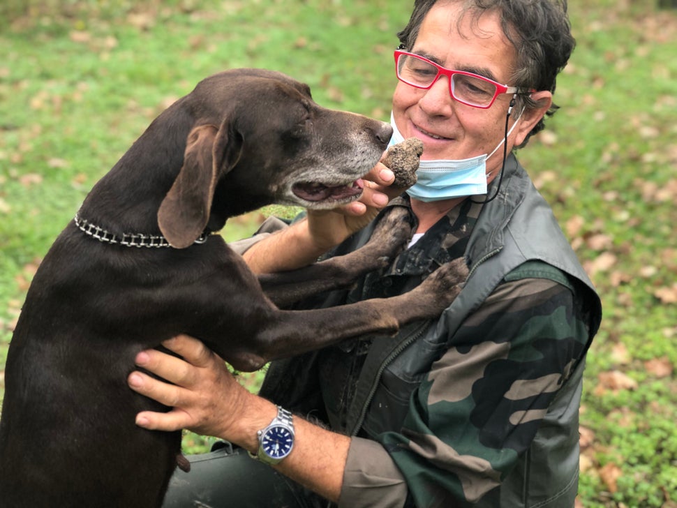 Il tartufo bianco ai tempi del Covid: Acqualagna ci spiega come degustarlo 3 5fa517022400004b1fb03c4b
