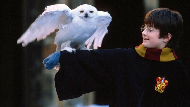 'Harry Potter y la piedra filosofal'.