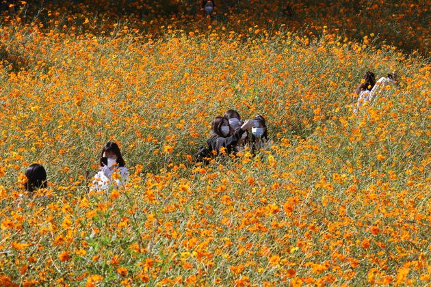 Seoul, October 5