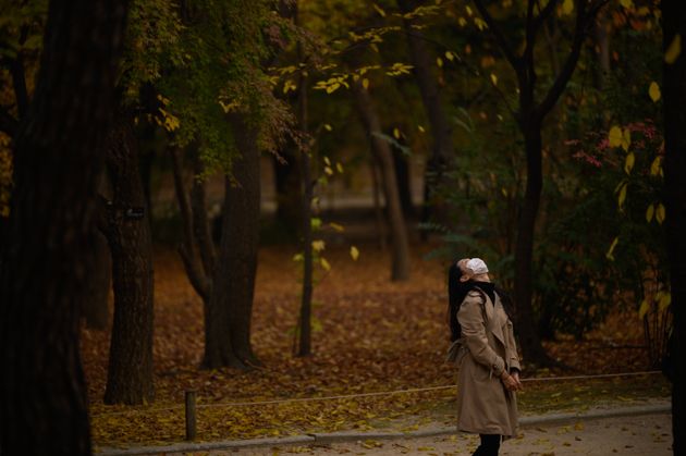 On October 27, a Seoul citizen enjoyed the fall