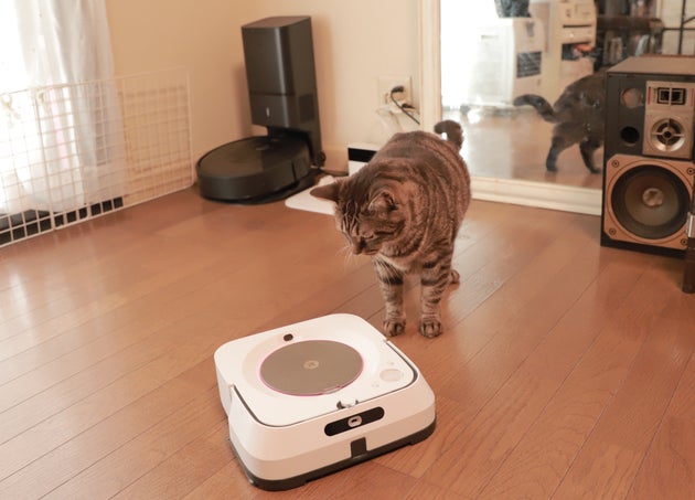自分で掃除する生活には もう戻れない ロボットに任せる 新しいお掃除体験 をしたら 時間の使い方も 心も整った ハフポスト