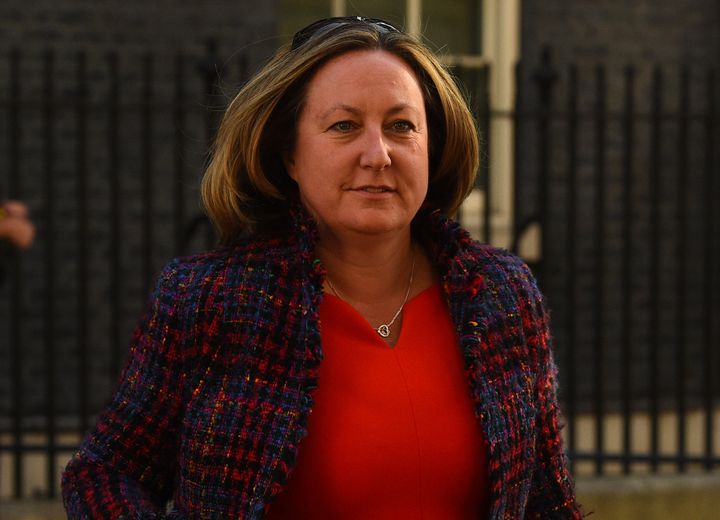<strong>The UK's climate change champion, Anne-Marie Trevelyan</strong>