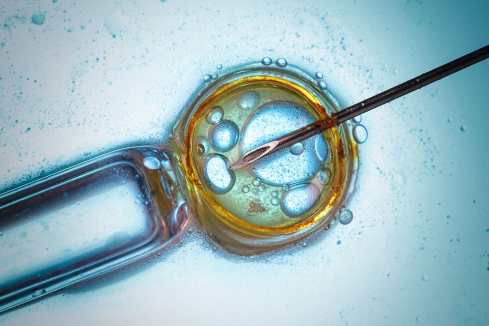 Τα αμφιλεγόμενα κύτταρα των εμβολίων προέρχονται από ένα έμβρυο του