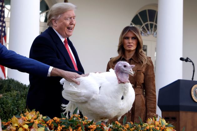 Trump pardons Butter, the national Thanksgiving turkey, in the Rose Garden of the White House last November. 