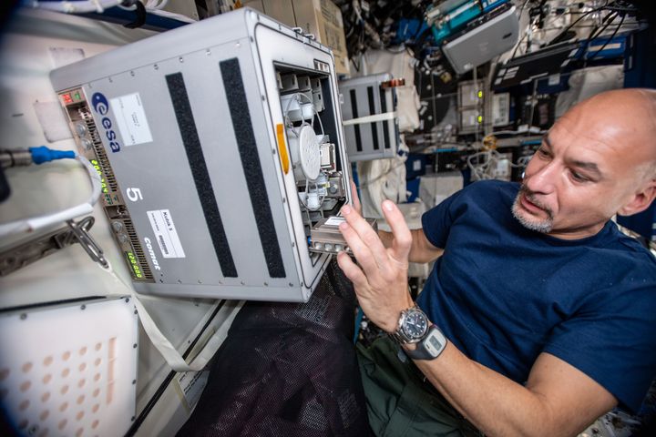 L'astronaute de l'ESA Luca Parmitano fait glisser les plus petits mineurs de l'univers dans le conteneur d'expériences Kubik, sur la Station spatiale internationale. 