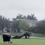 Experts Say 'Nothing Abnormal' About Massive Gator In Florida Freaking Out Social