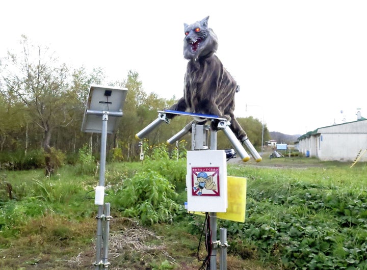 The town of Takikawa on the northern island of Hokkaido purchased and installed a pair of the robots after bears were found r