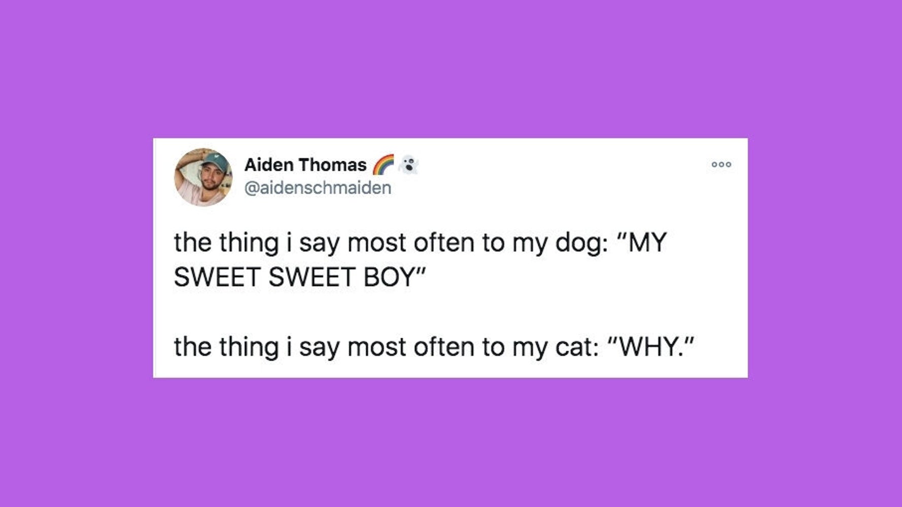 31 Of The Funniest Tweets About Cats And Dogs This Week Nov 7 13 31 of the funniest tweets about cats and dogs this week nov 7 13