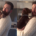 Please Direct Your Attention To Chris Evans Cuddling A Puppy In A 'Knives Out'