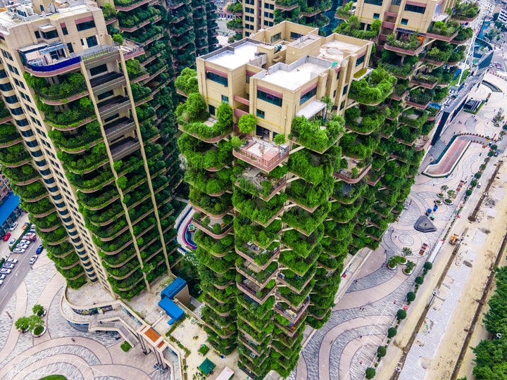 四川省成都市に建てられた「垂直森林」(Photo by VCG/VCG via Getty Images)