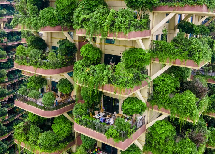 べランドから生い茂る植物(Photo by VCG/VCG via Getty Images)