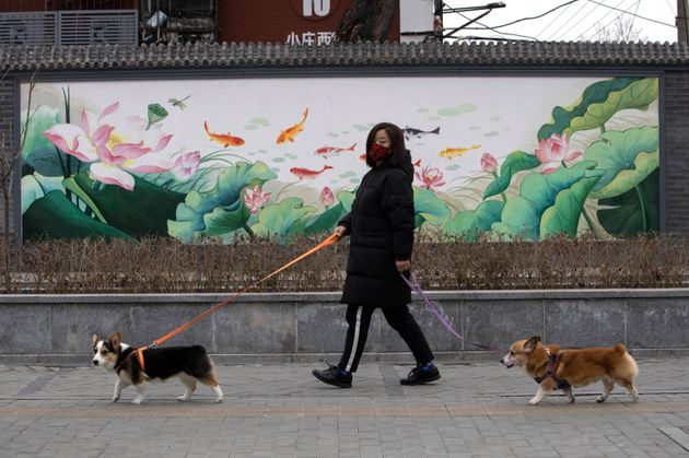 2020년 2월 25일 중국 베이징에서 마스크를 쓴 한 주민이 개를 산책시키고