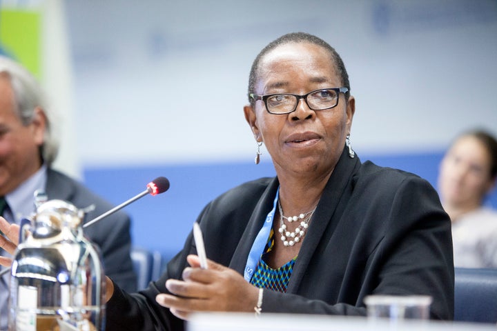 Elizabeth Mpofu speaks during a 2017 World Food Security session in Rome. Credit: ©FAO/Giulio Napolitano