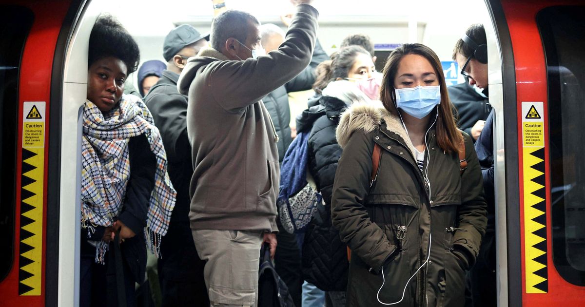 UK Scientists Relied On Wikipedia During Early Stages Of Coronavirus Pandemic