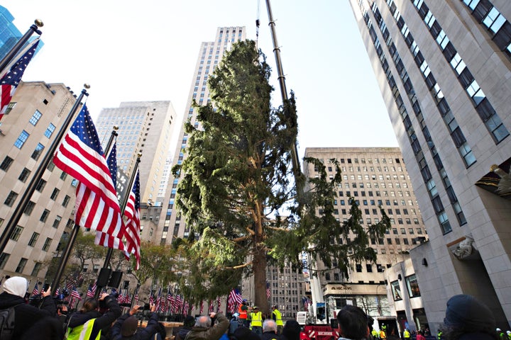 The Rockefeller Center Christmas Tree arrives at Rockefeller Plaza and is craned into place on Nov. 14, 2020, in New York City.