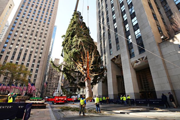 Le sapin de Noël géant installé au pied du Rockefeller Center, à New York aux...