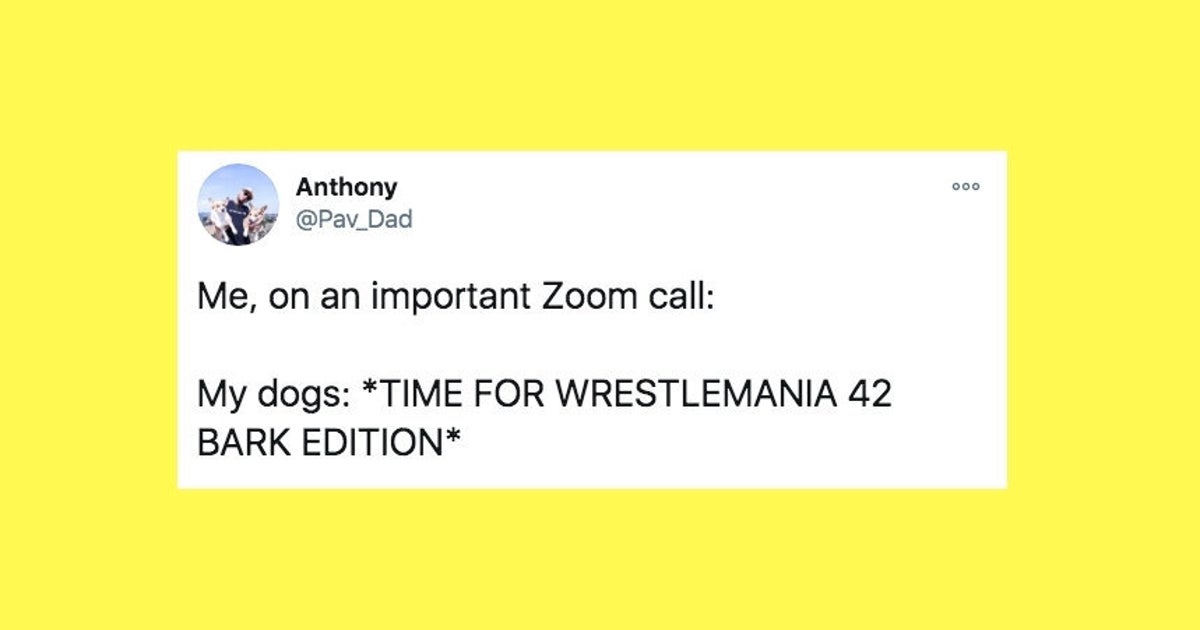 23 Of The Funniest Tweets About Cats And Dogs This Week Nov 13 20 23 of the funniest tweets about cats and dogs this week nov 13 20