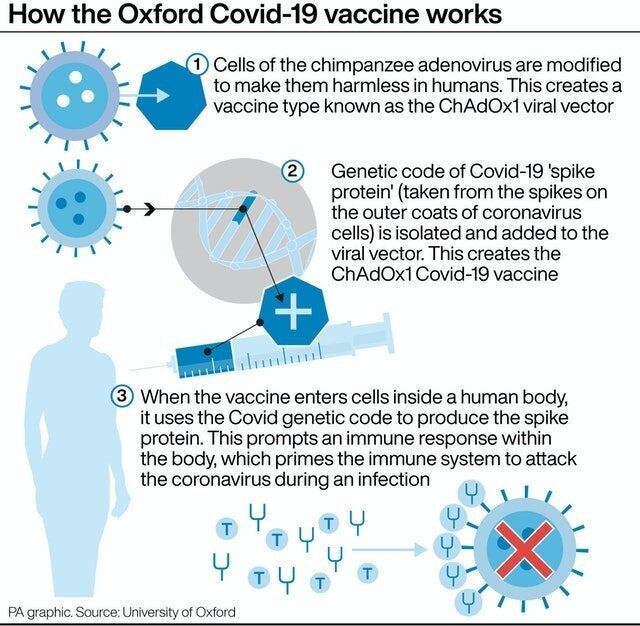 Oxford Vaccine