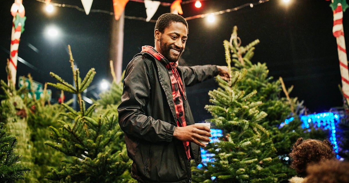 Revealed The Cheapest Real Christmas Trees On The High Street