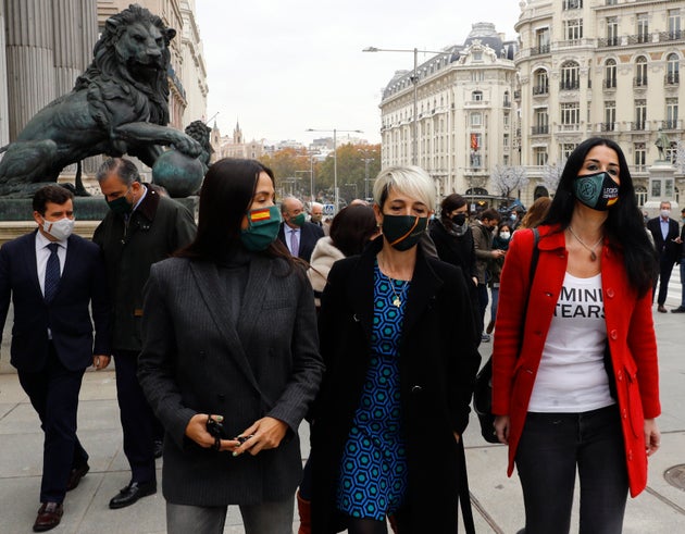 El grupo paralamentario de Vox, hoy miércoles en el Congreso de los Diputados, el día que se celebra...