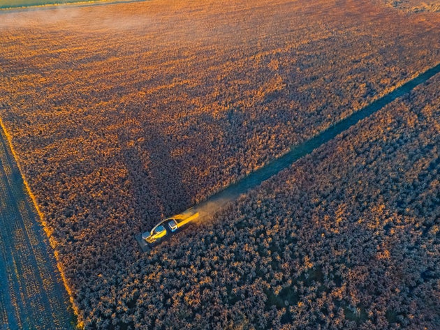 “Questa Pac premia grandi proprietari terrieri e agricoltura intensiva” (di R. Muroni) “Questa Pac premia grandi proprietari terrieri e agricoltura intensiva” (di R. Muroni)