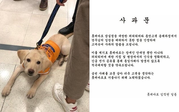 盲導犬の入店を拒否 韓国 ロッテマート の対応に非難殺到し 謝罪 ハフポスト