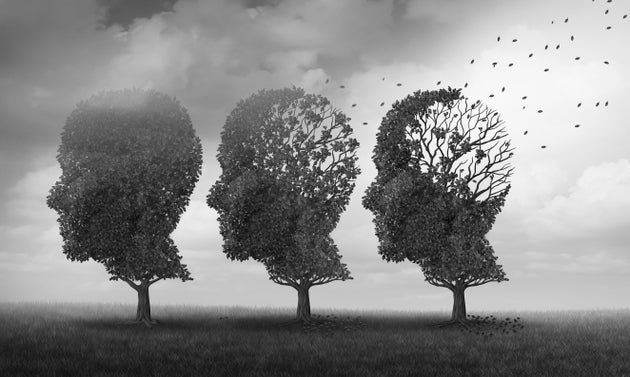 Vivere in una città con molte polveri sottili aumenta il rischio Alzheimer (di A. Cianciullo) Vivere in una città con molte polveri sottili aumenta il rischio Alzheimer (di A. Cianciullo)