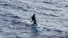Missing Man Found Clinging To Capsized Boat 86 Miles Off Florida Coast 2 5fc52f881f000057005a26cc