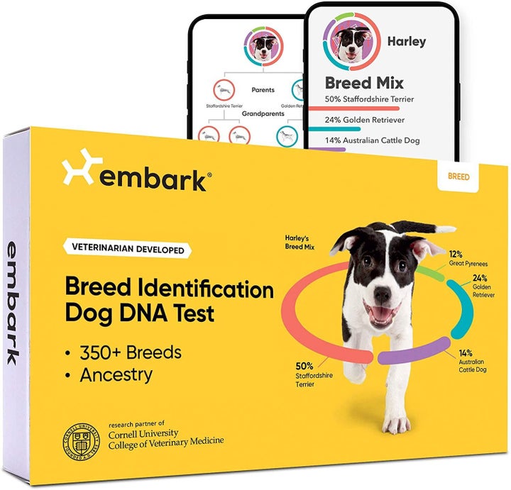 Wisdom panel health breed & outlet health identification dog dna test kit