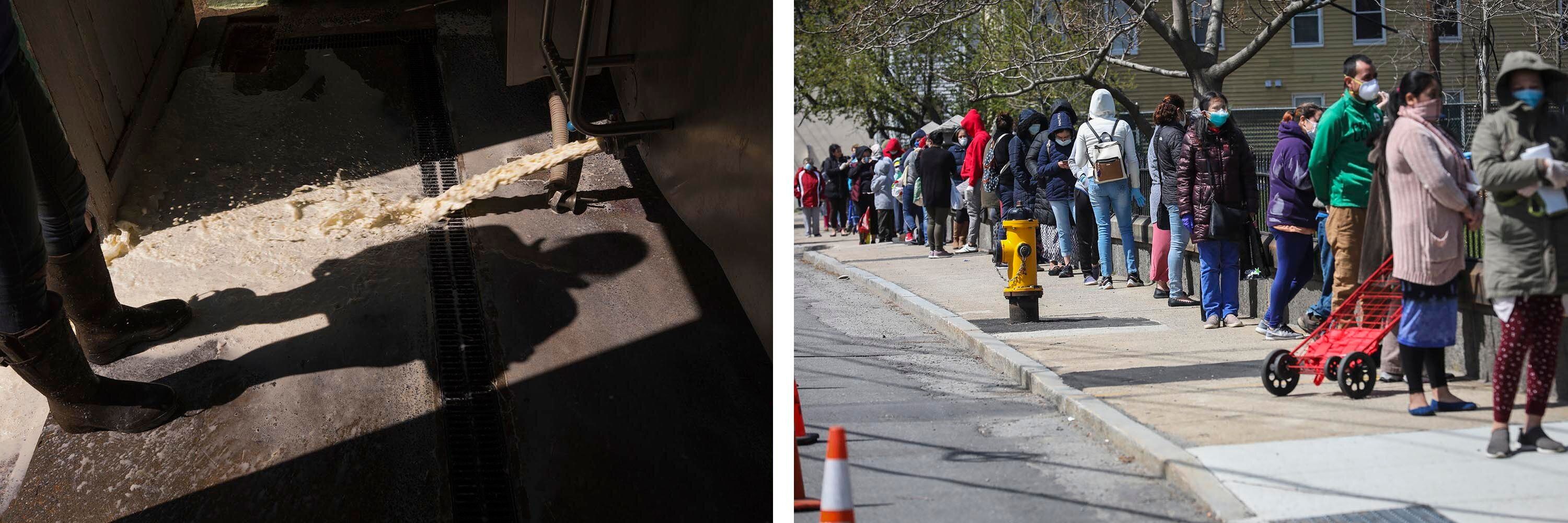 Left: A dairy farmer dumps excess milk at Plurenden Manor Farm in Ashford, U.K. The pandemic forced farmers around the world to dump produce they couldn't sell. Right: People line up for food donations in Waltham, Massachusetts, on April 11, 2020. The food bank has seen a surge in demand since the pandemic began. Credit: Getty Images