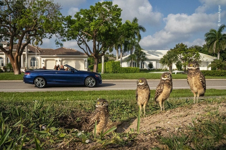 Wildlife Photographer of the Year/PA